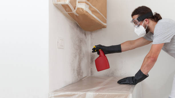 Professional Mold Inspection And Testing technician working in Issue, MD